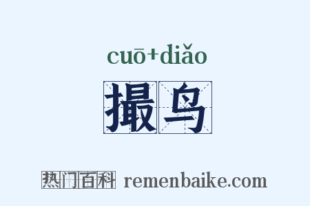 撮鸟是什么意思的图片